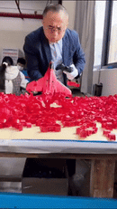 Remote Control Plane Toy