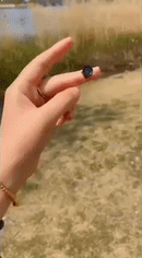 HD Smart Hidden Mini Cam