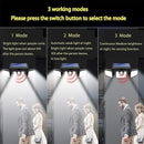 Solar Motion Sensor Security Light