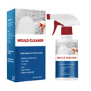 MoldXpert Stain Remover Spray