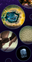 HD Outdoor Optical Microscope