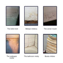 MoldXpert Stain Remover Spray