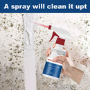 MoldXpert Stain Remover Spray