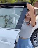 UVShield Car Window Shades