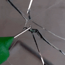 Automotive Glass Repair Fluid - Mystery Gadgets automotive-glass-repair-fluid, car, car accessories